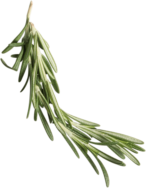 Rosemary