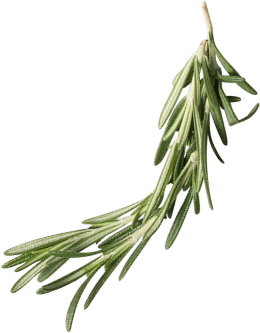 Rosemary